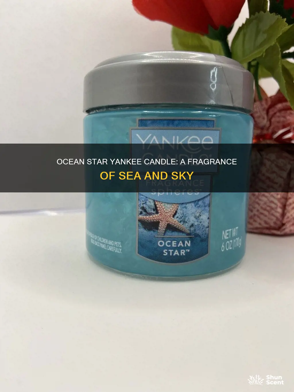 what fragrance is yankee candle ocean star