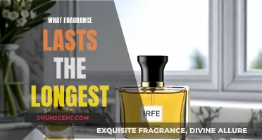 The Most Long-Lasting Fragrances: How to Smell Amazing All Day