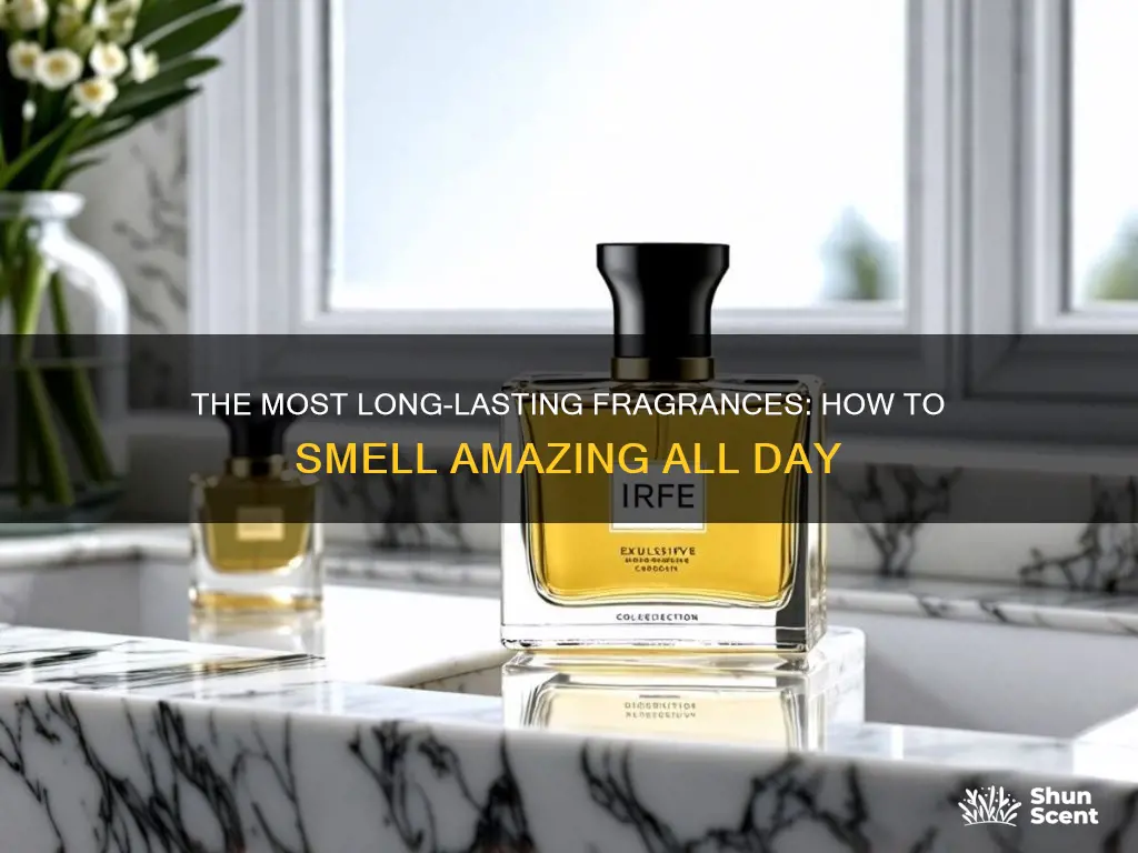 what fragrance lasts the longest