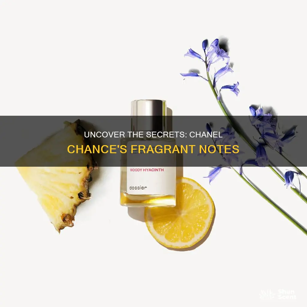 what fragrance notes are in chanel chance