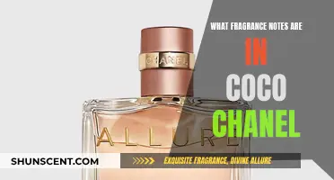The Alluring Notes of Coco Chanel: A Fragrance Symphony
