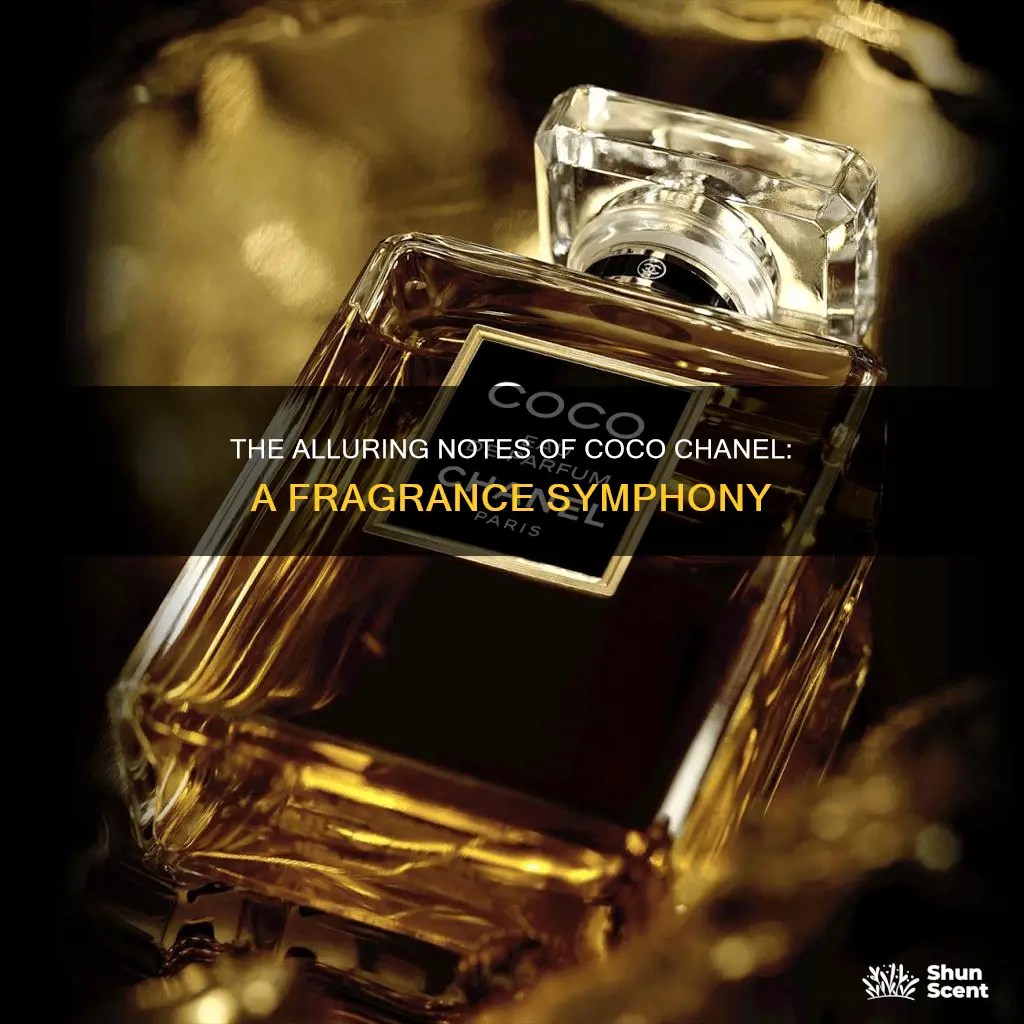 what fragrance notes are in coco chanel