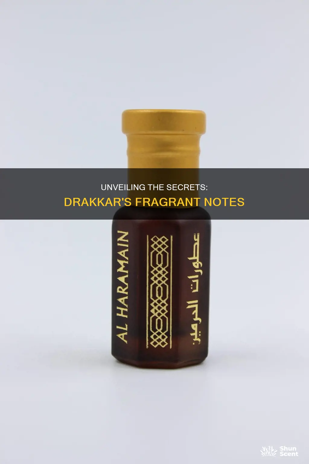 what fragrance notes are in drakkar