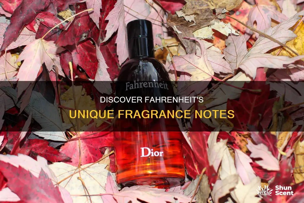 what fragrance notes are in fahrenheit