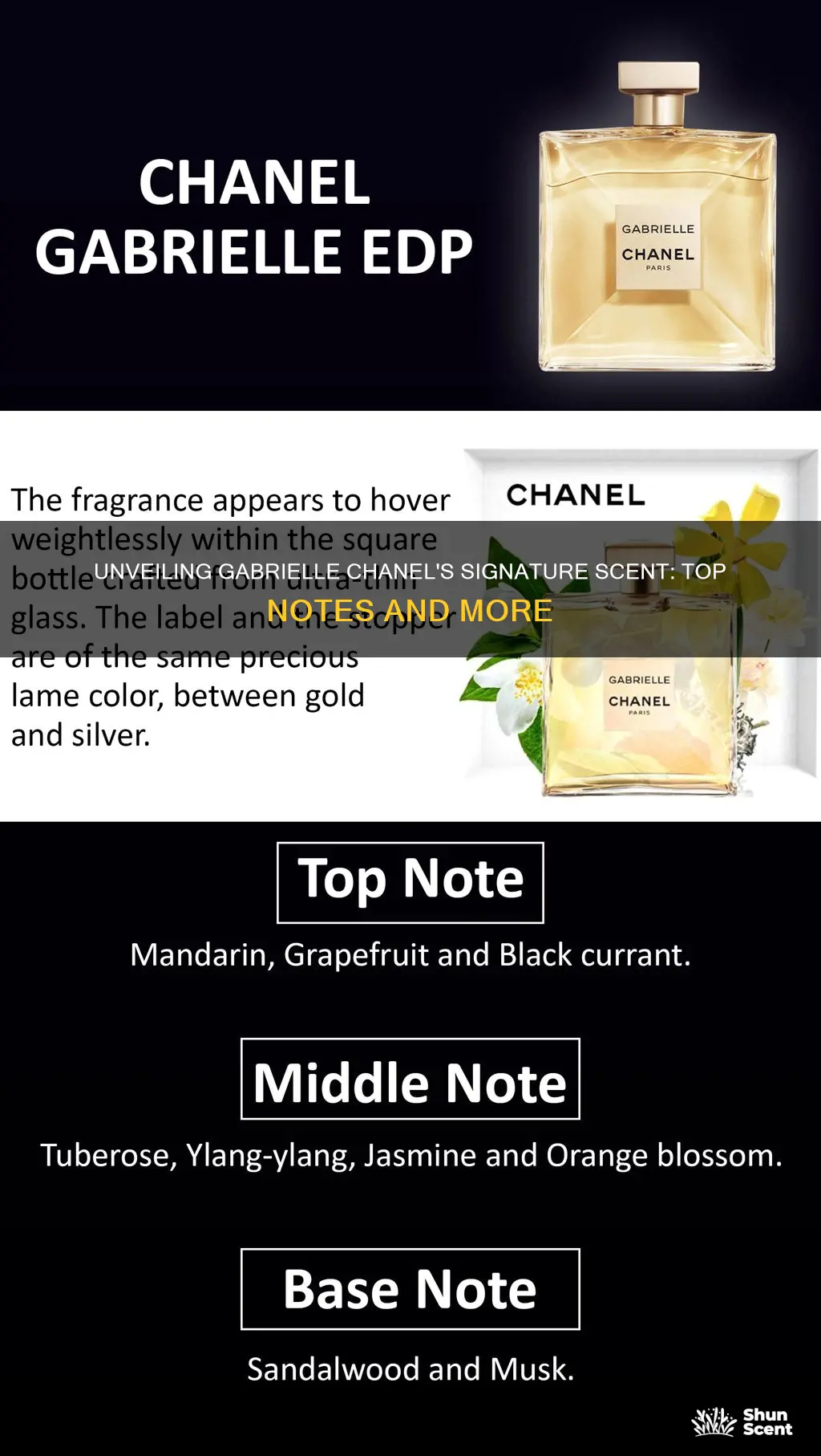 what fragrance notes are in gabrielle chanel