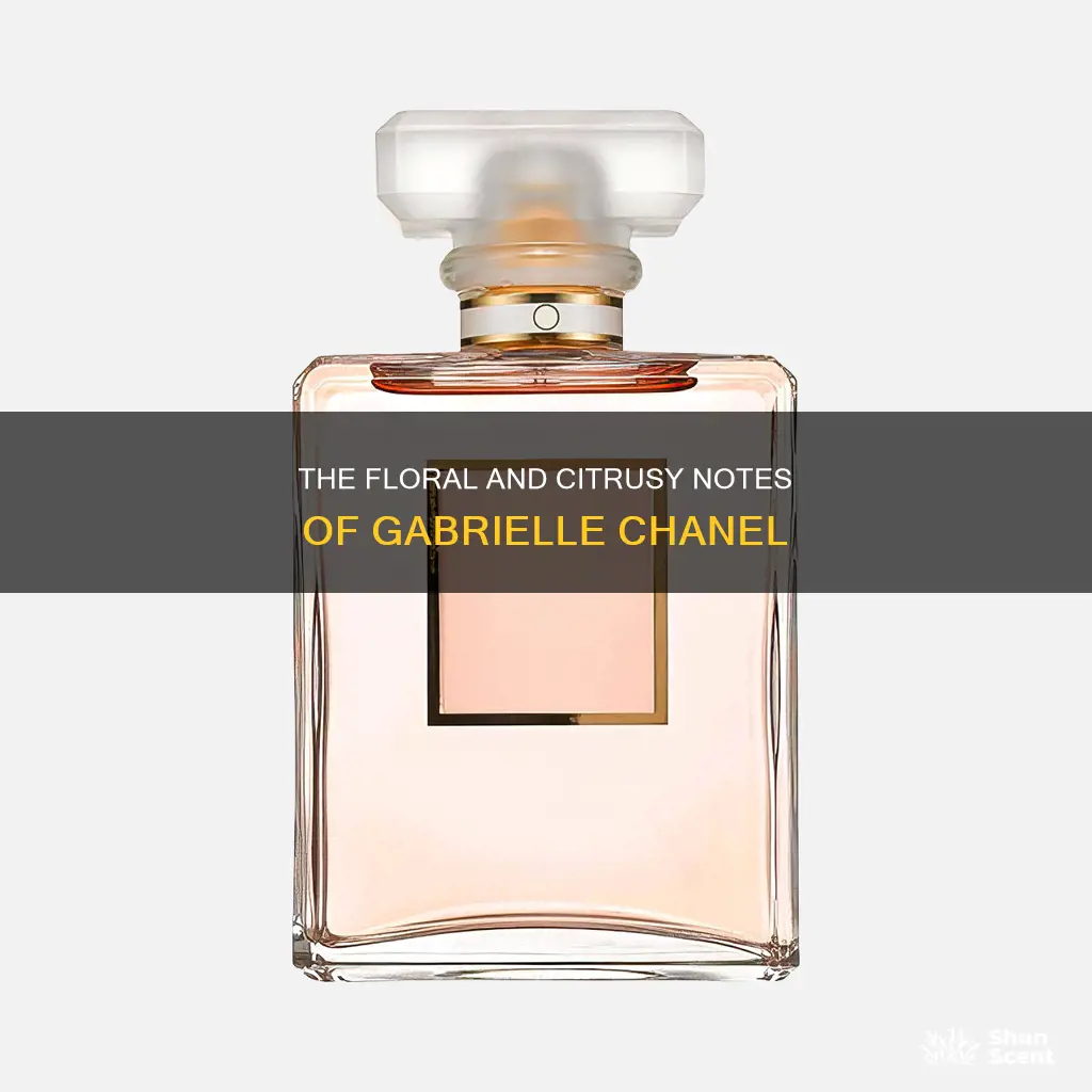 what fragrance notes are in gabrielle chanel