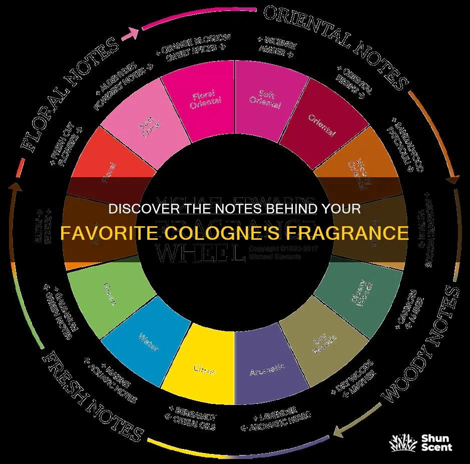 what fragrance notes are in my cologne