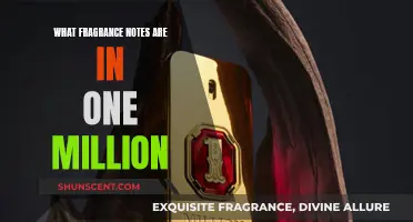 One Million's Sensual, Woodsy, and Spicy Notes Explored