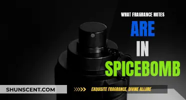 Discover Spicebomb's Secret Fragrance Notes and Scents
