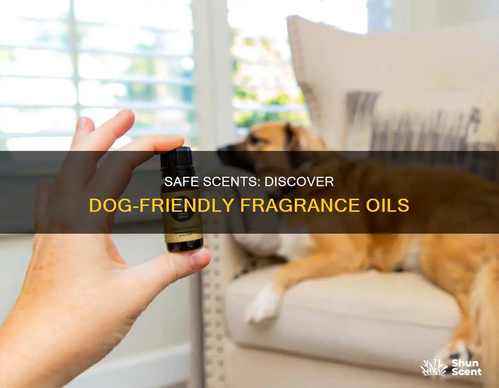 what fragrance oil are safe for dogs