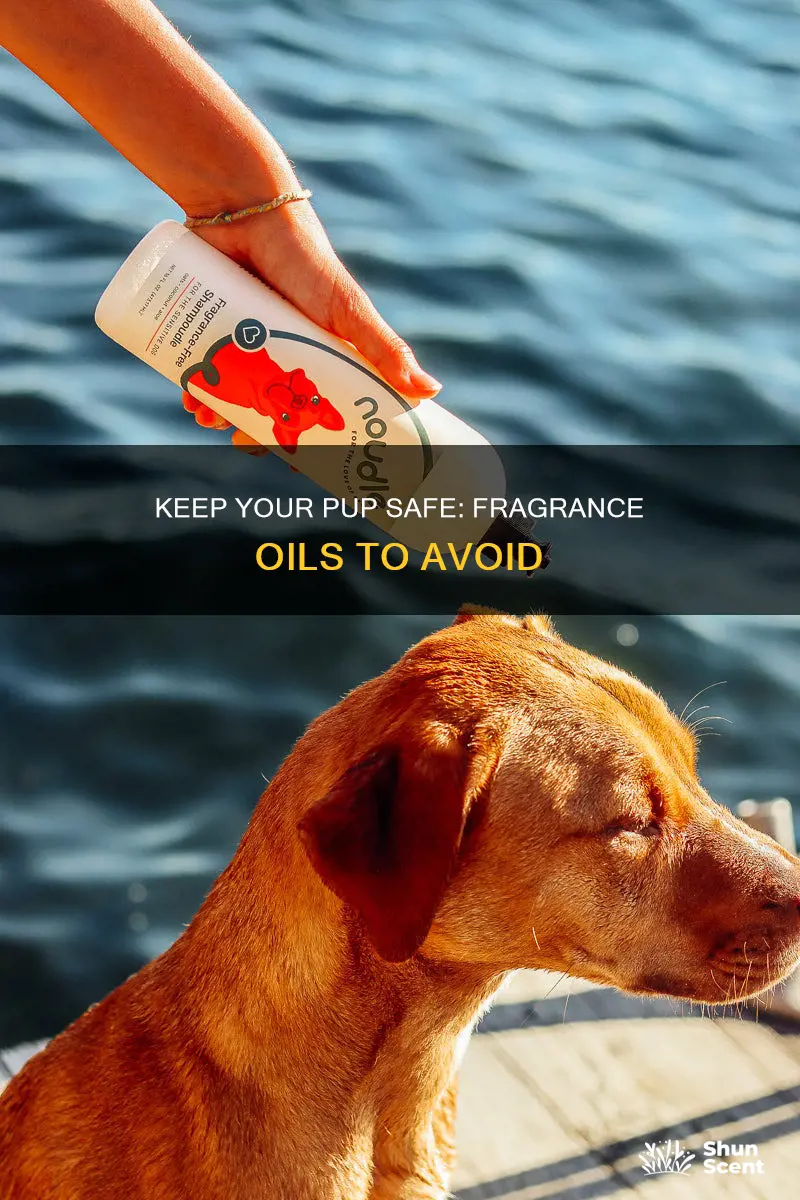 what fragrance oil are safe for dogs