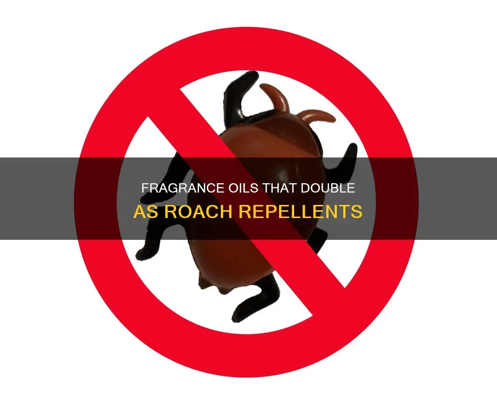 what fragrance oil repels roaches