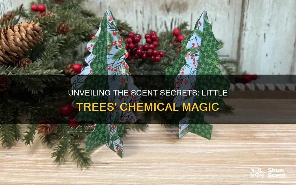 what fragrance or chemical little trees use in their products