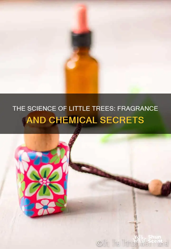 what fragrance or chemical little trees use in their products