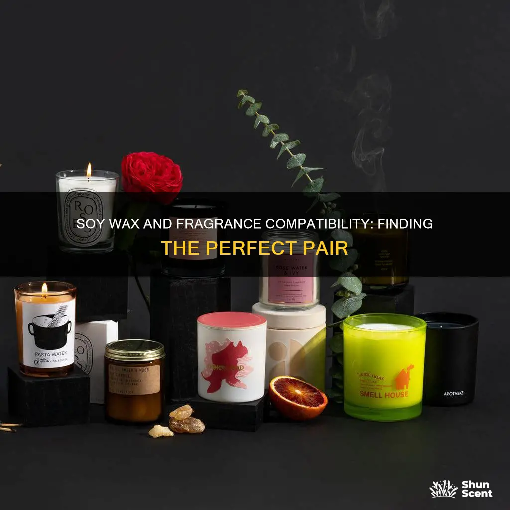 what fragrance product is compatible with ecosoya cb advanced reviews