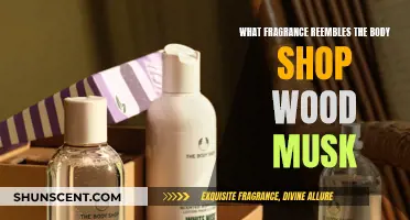 Woody Musk: The Scent of Nature's Embrace