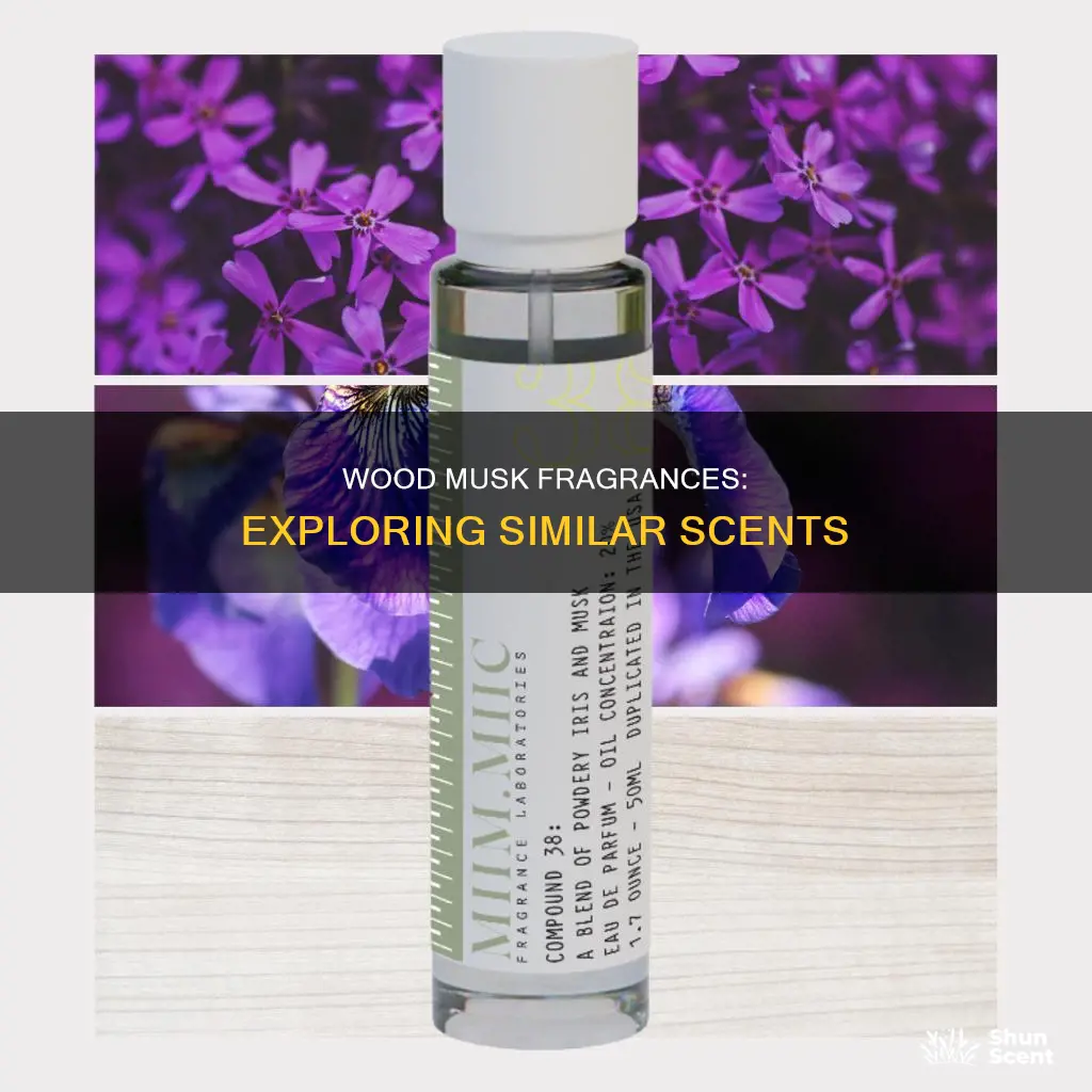 what fragrance reembles the body shop wood musk