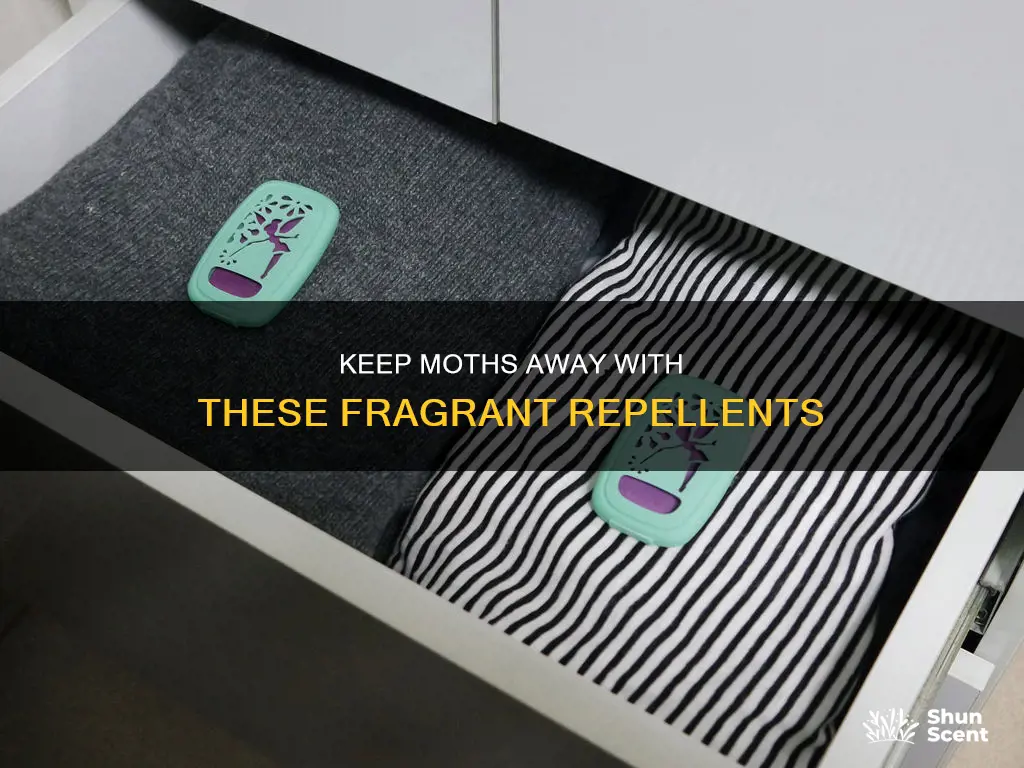 what fragrance repels moths