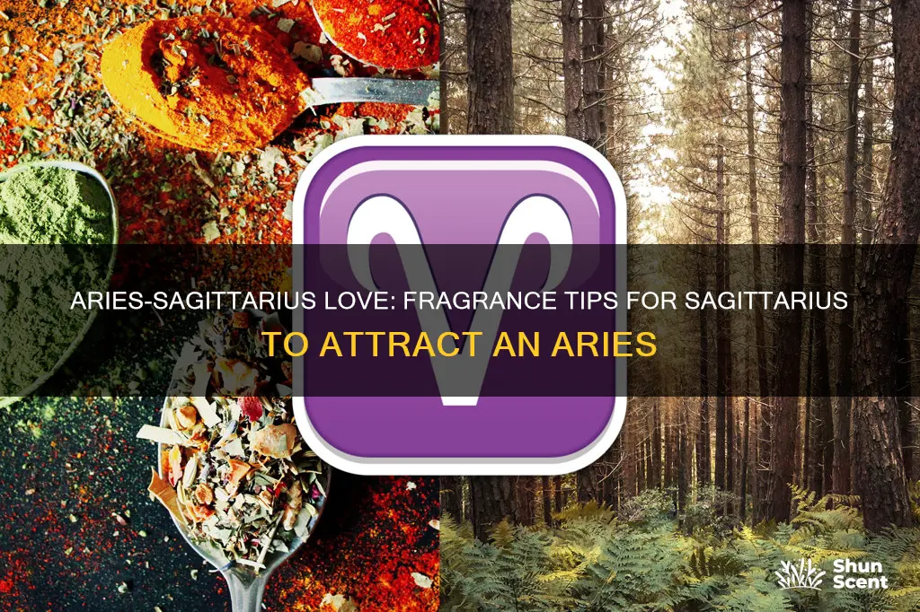 what fragrance should a sagittarian wear to attract an aries