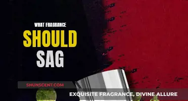 The Scent of a Sagittarius: Choosing the Perfect Fragrance