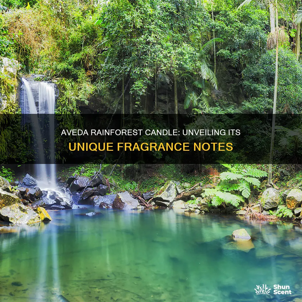 what fragrance smells like aveda