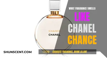 Chanel Chance: A Fresh, Woodsy Scent Adventure