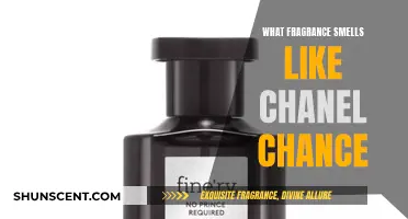 Chance Chanel: Unraveling the Fragrance's Mystique and Similar Scents