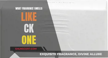 CK One: A Fresh, Spicy, and Woodsy Scent