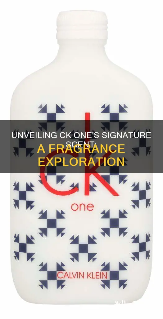 what fragrance smells like ck one