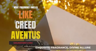 The Ultimate Guide to the Scent of Creed Aventus