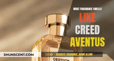 Creed Aventus: Unraveling the Scent's Secrets and Similar Scents