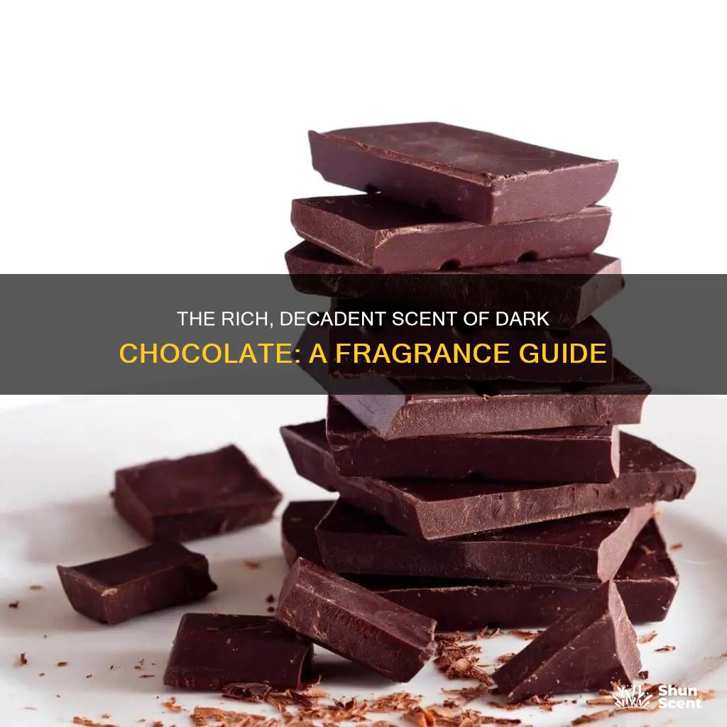 what fragrance smells like dark chocolate