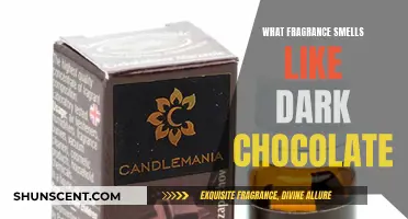 The Sweet Seduction: Scents of Dark Chocolate