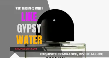 Captivating Scent: Unveiling the Essence of Gypsy Water