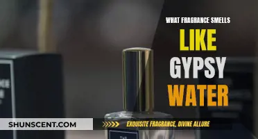 Exploring Gypsy Water Fragrance: Similar Scents and Notes