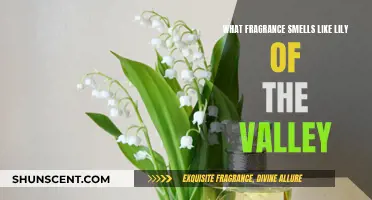 Finding the Perfect Lily of the Valley Scent