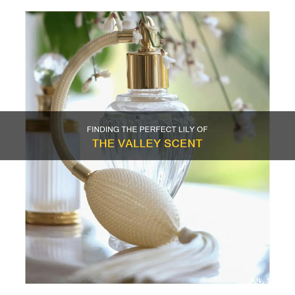 what fragrance smells like lily of the valley
