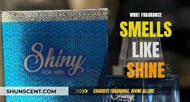 The Shine Scent: Discovering the Perfect Shine Fragrance