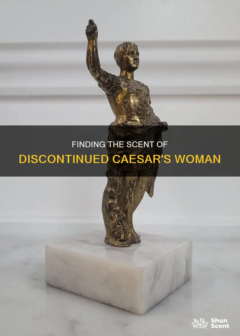 what fragrance smells most like the discontinued caesars woman