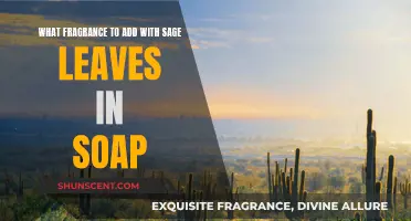 The Enticing Scent of Sage: Fragrance Pairing for Soaps