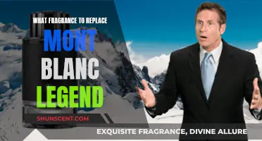 Mont Blanc Legend Alternatives: Fresh Fragrances for Men