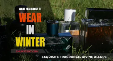 Winter Scents: Fragrances to Warm Your Spirit