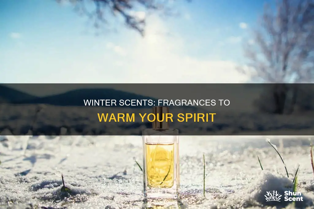 what fragrance to wear in winter