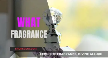 The Fragrance Notes You Need to Know