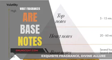 Uncover the Secrets: Exploring the World of Base Notes