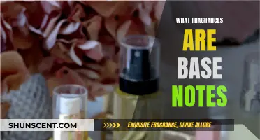 Base Notes: Exploring the Rich, Deep Fragrances