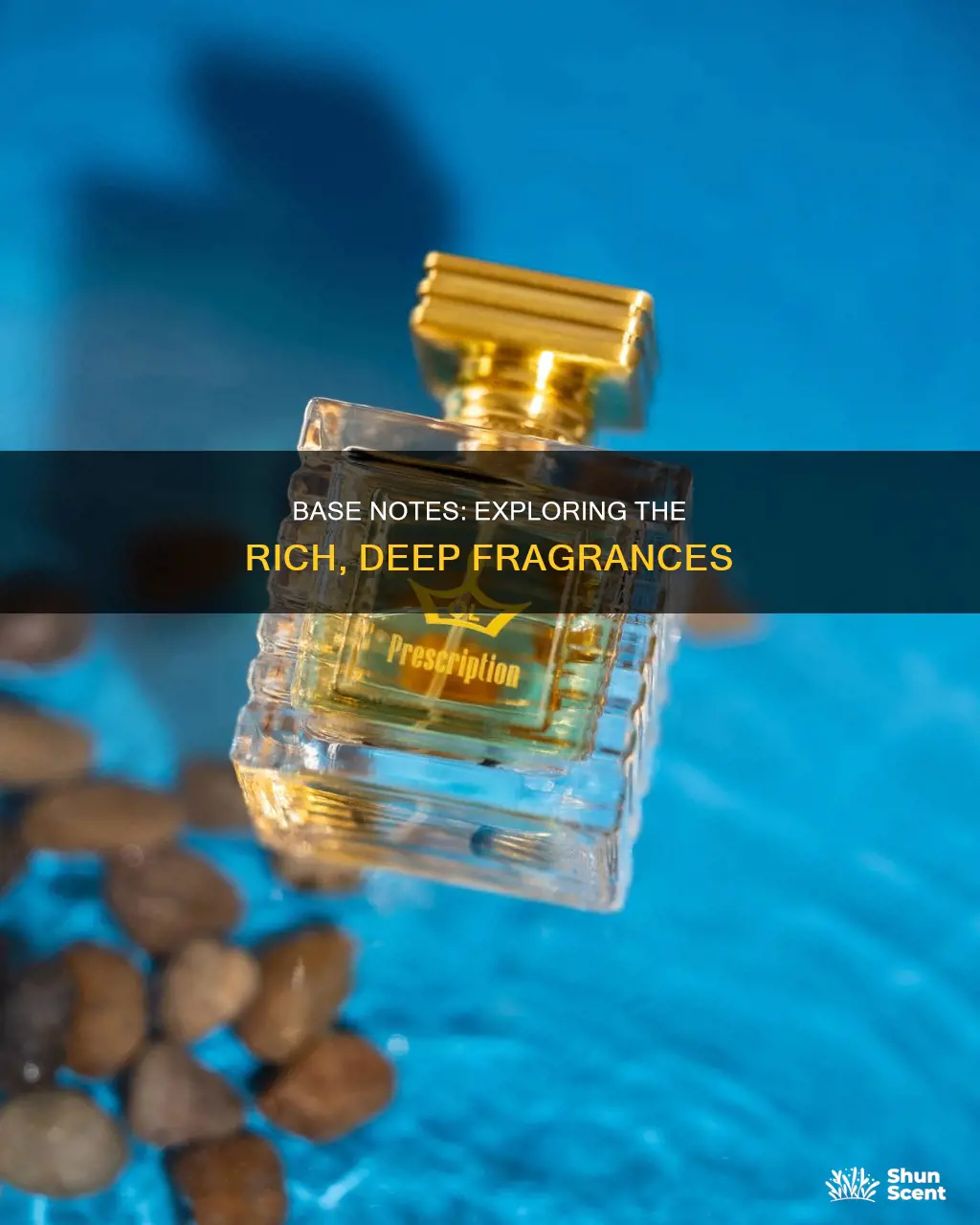what fragrances are base notes