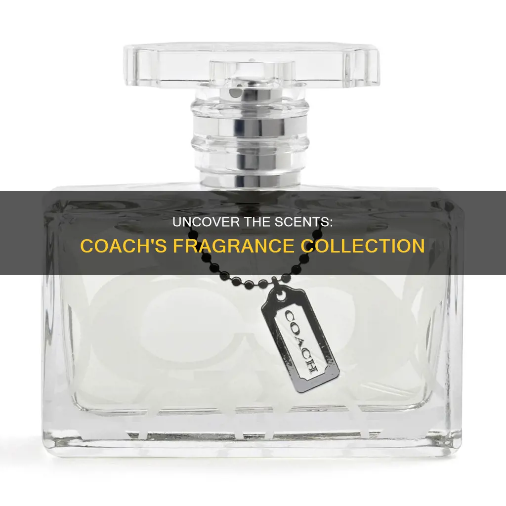 what fragrances are in coach