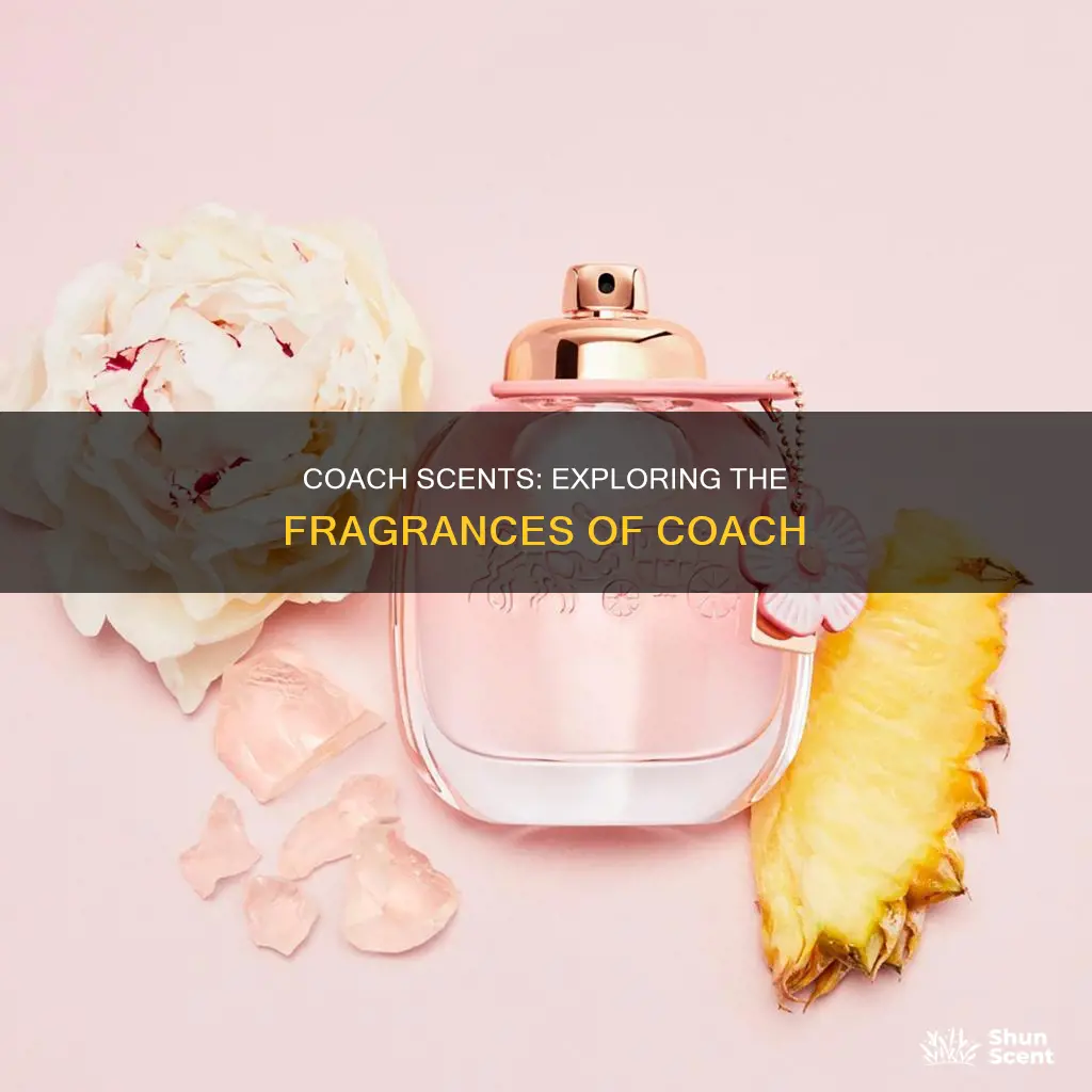 what fragrances are in coach