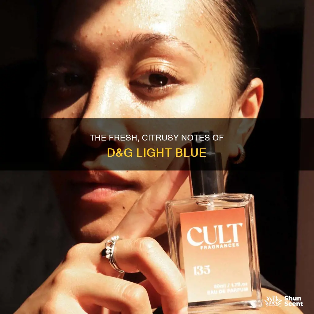 what fragrances are in d g light blue